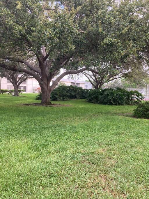 All Season Paradise In Cortez Bradenton Luaran gambar