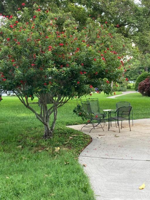 All Season Paradise In Cortez Bradenton Luaran gambar