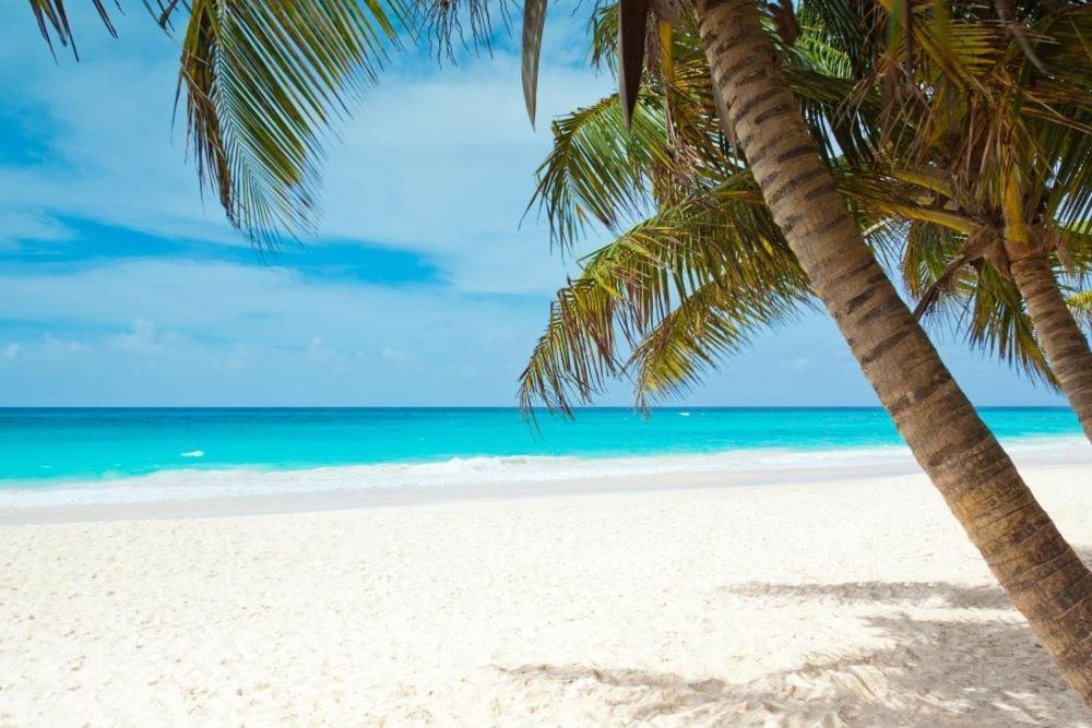 All Season Paradise In Cortez Bradenton Luaran gambar